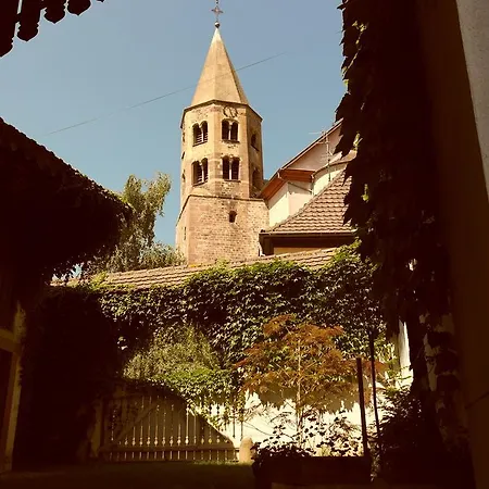 Alojamento de Acomodação e Pequeno-almoço La Vieille Vigne Bed & Breakfast