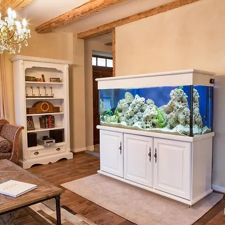 Alojamento de Acomodação e Pequeno-almoço La Vieille Vigne Bed & Breakfast