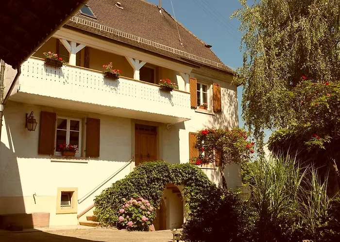 La Vieille Vigne Bed & Breakfast Gundolsheim