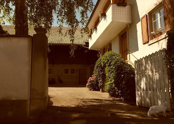 Bed & Breakfast La Vieille Vigne Bed & Breakfast *